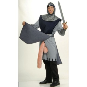 A Knight to Remember Costume