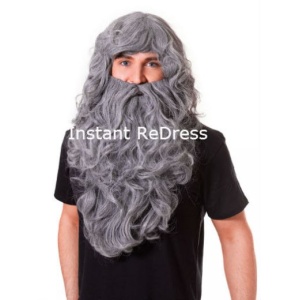 Wizard Wig & Beard