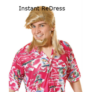 Surfer Dude Wig & Goatee - Blonde