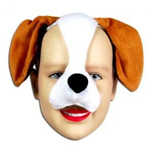 Brown And White Dog