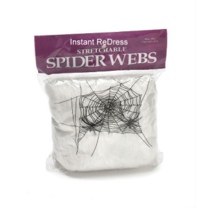 Spiders Web with Spider