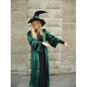 Professor McGonagal (10/14) - HIRE