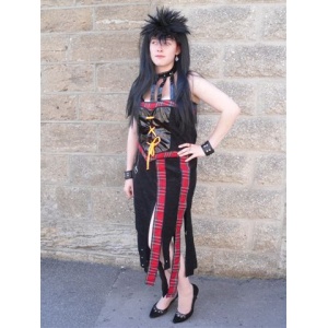 Party Punk (14/16) - HIRE