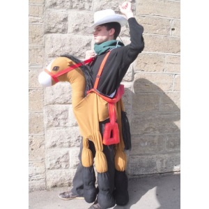 Step in Horse (S/XL) - HIRE