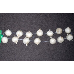 ONION GARLAND