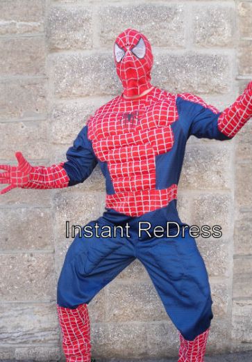 Spiderman (M/L) - HIRE