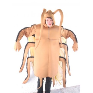 Cockroach (M/L) - HIRE