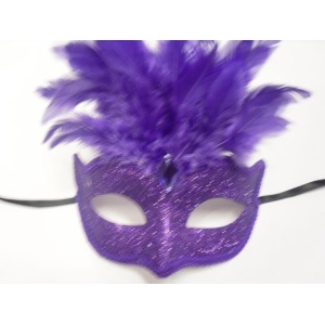 Tie on Mask with Feathers