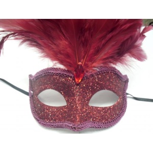 Tie on Mask with Feathers