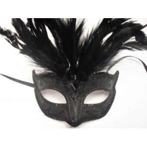 Tie on Mask with Feathers