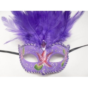 Tie on Mask with Feathers