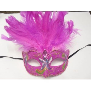 Tie on Mask with Feathers