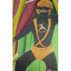Ginger Ninja Costume