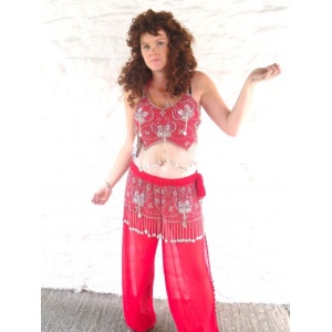 Belly Dancers Costume (8/14)