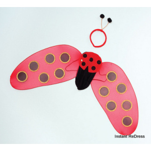 Ladybird Wings & Boppers