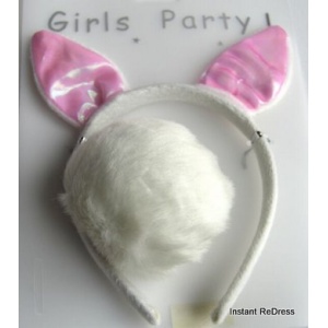 Rabbit Ears and Tail Set