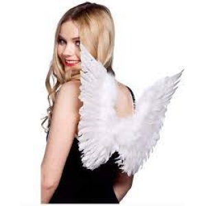 White Feathered Wings