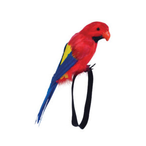 Feathered Parrot