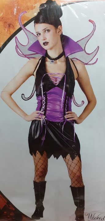 Wicked Goth Fairy Costume